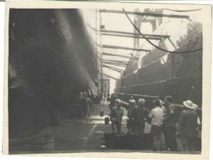 Египетская эпопея Севморзавода