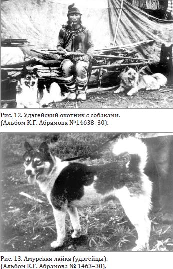 Удэгейский охотник с собаками. Амурская лайка