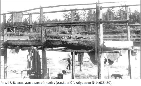 Вешала для вяленой рыбы