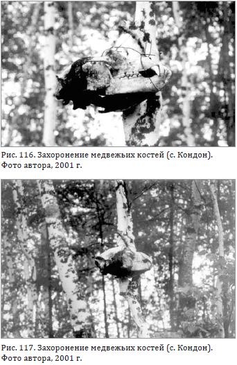 Захоронение медвежьих костей (с. Кондон).