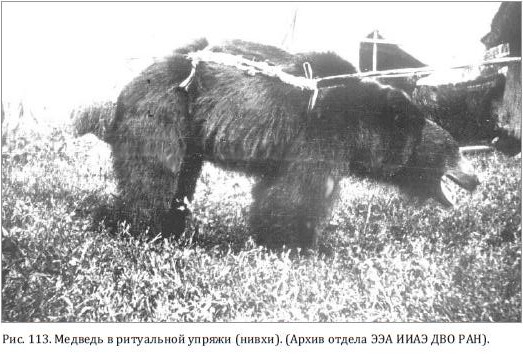 Медведь в ритуальной упряжи (нивхи)