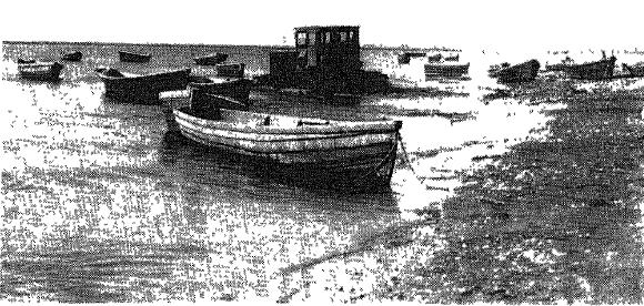 Лодки для рыбной ловли. Фото Н. К. Старковой. 1964 г. Лодки для рыбной ловли. Фото Н. К. Старковой. 1964 г.