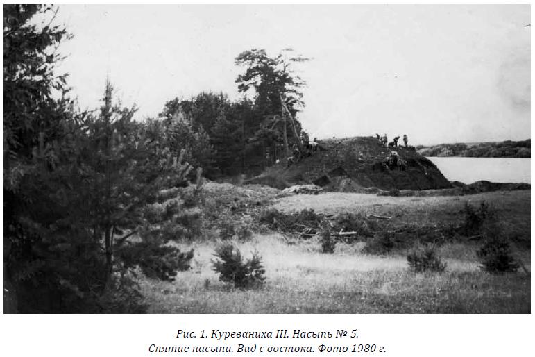 Сопковидная насыпь в курганной группе Куреваниха III на р. Мологе