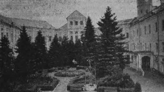 Партерный скверик во дворе замка, посаженный в 1954 году