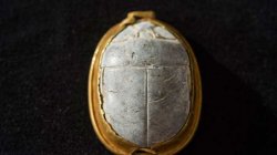 3700-летняя печать в форме скарабея найдена орнитологом вблизи Хайфы