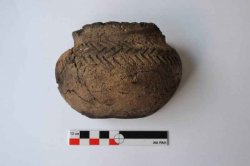Археологи обнаружили древнее захоронение с булавой в Бахчисарайском районе (фото, видео)