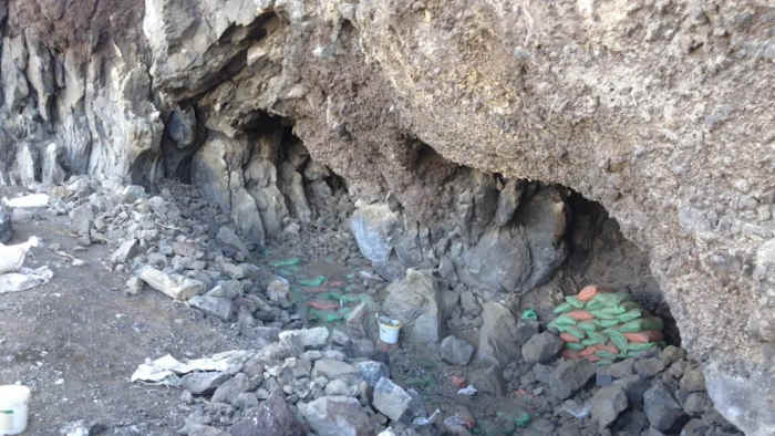 14000-летние фекалии, найденные в пещере Орегона, оставлены человеком