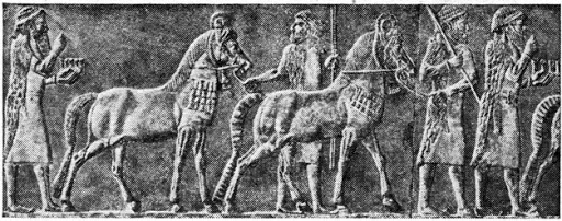 Битвы ассирийцев и их крупные кони